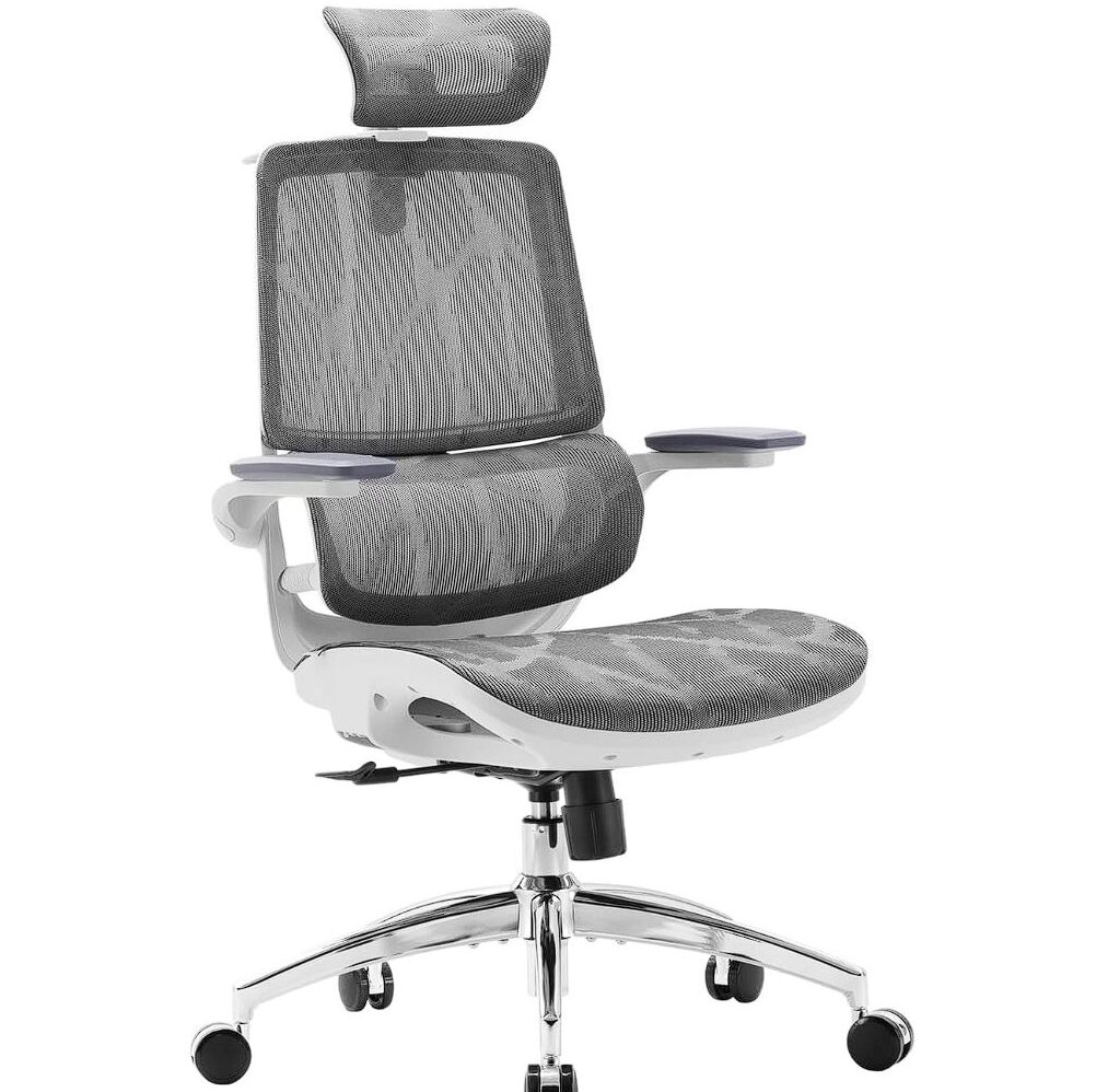 SIHOO-1-e1759518046770 Ergonomische Bürostühle im Überblick